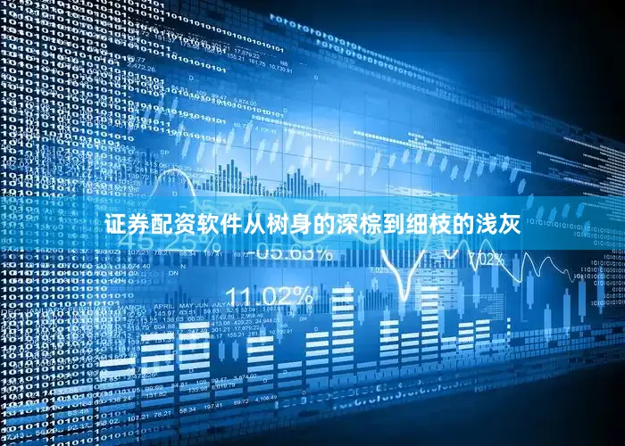 证券配资软件从树身的深棕到细枝的浅灰