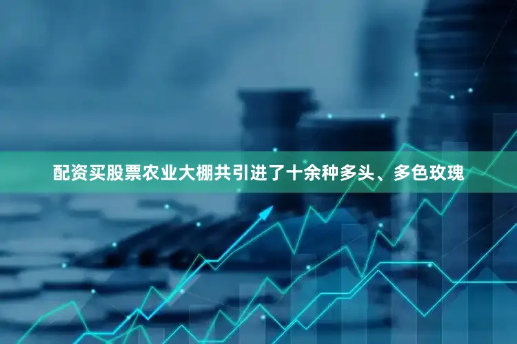 配资买股票农业大棚共引进了十余种多头、多色玫瑰