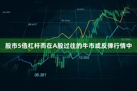 股市5倍杠杆而在A股过往的牛市或反弹行情中