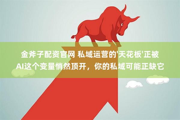 金斧子配资官网 私域运营的'天花板'正被AI这个变量悄然顶开，你的私域可能正缺它